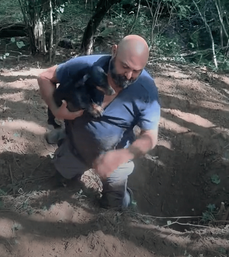 Mini Dachshund Vanishes Without a Trace—What His Family Discovered the Next Day Surprised Everyone